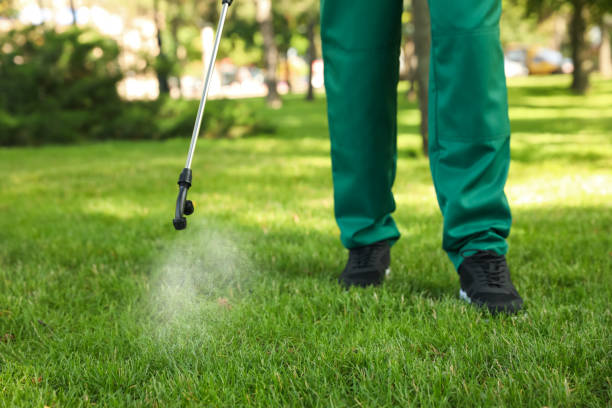 Professional Pest Control in West Swanzey, NH