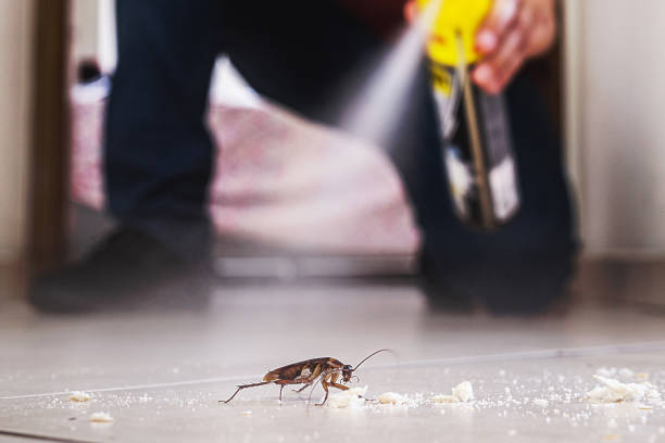 Best Cockroach Control Services  in West Swanzey, NH